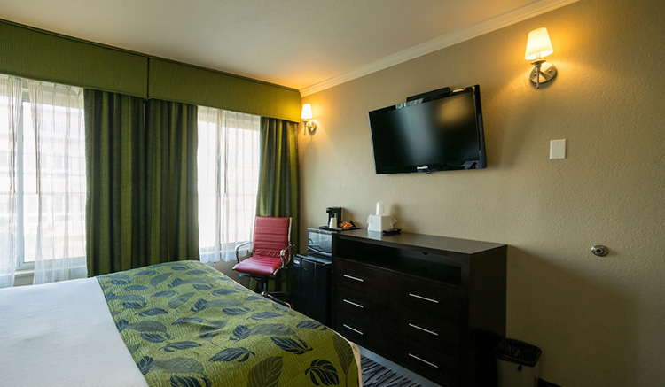 Rooms with Modern Amenities