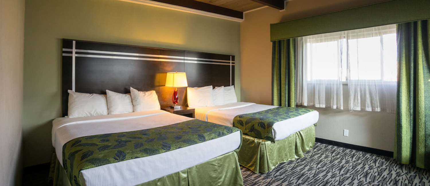 Stay In Our Thoughtfully Designed Guest Rooms With Modern Amenities  
